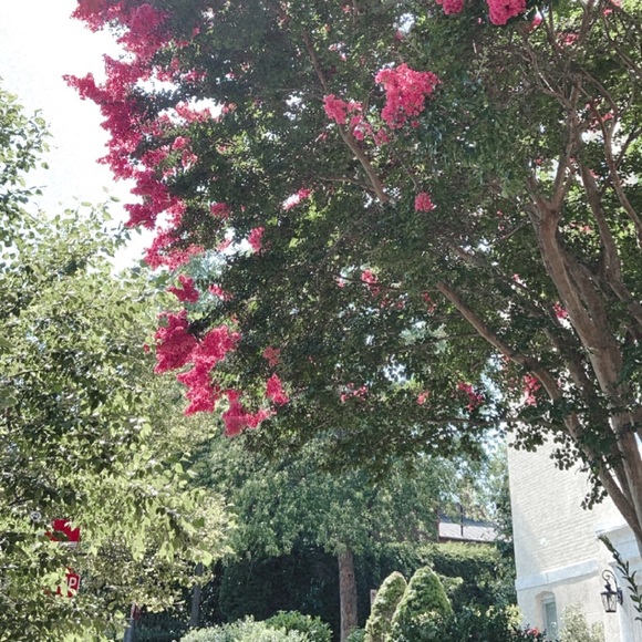 π WELCOME π - Picture 2 of 2